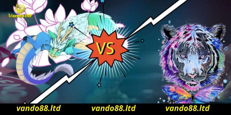 Rồng hổ Vando88