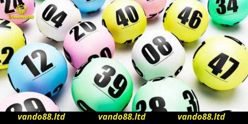 Vando88 nơi uy tín chất lượng